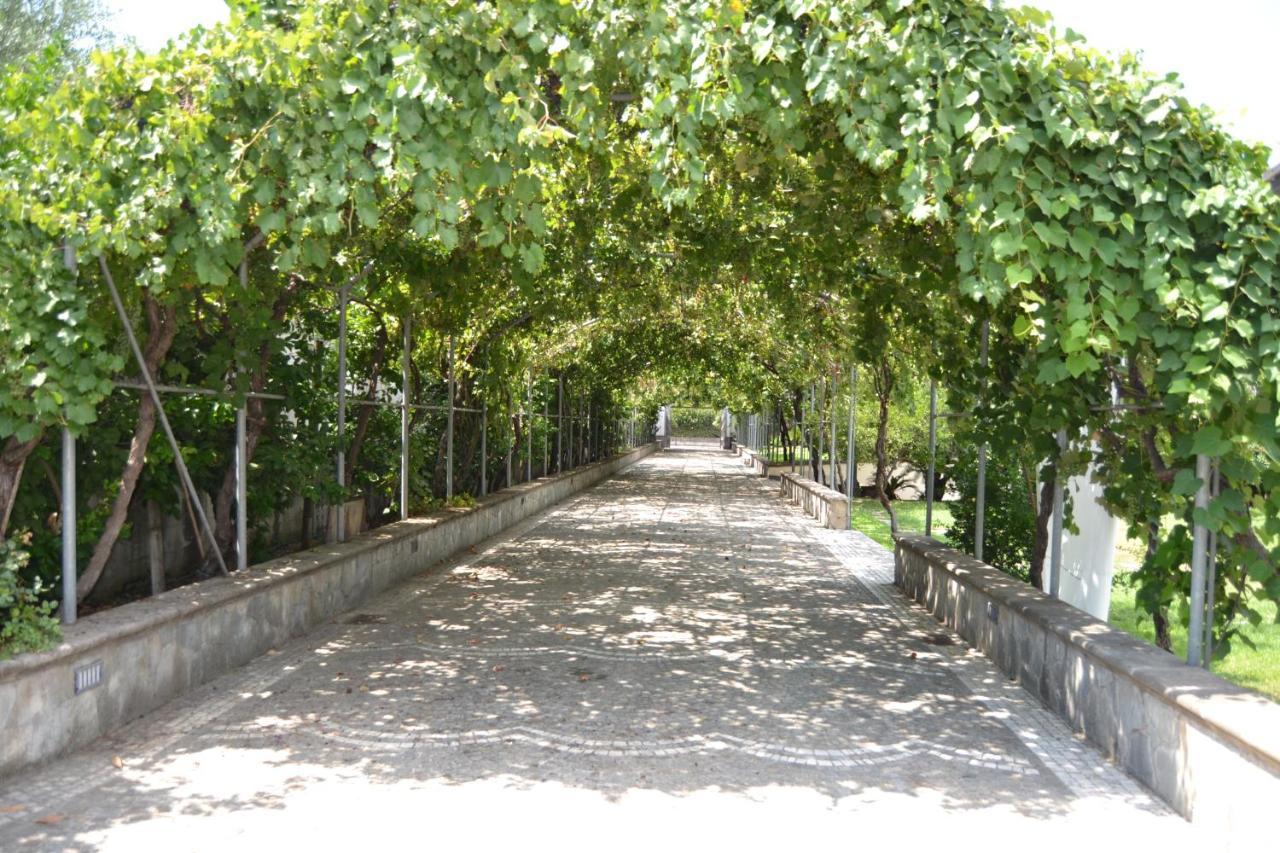 Villa I Giardini Del Vesuvio Somma Vesuviana Exterior foto